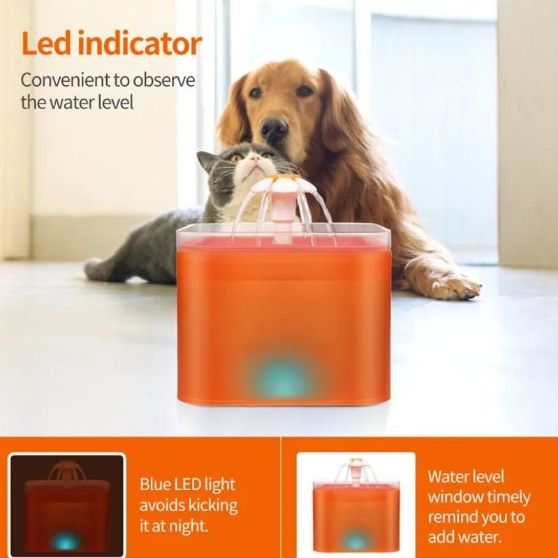 2L Small Pet Water Fountain for Kitten & Small Dog