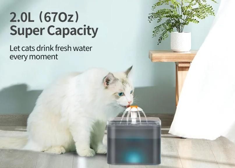 2L Small Pet Water Fountain for Kitten & Small Dog